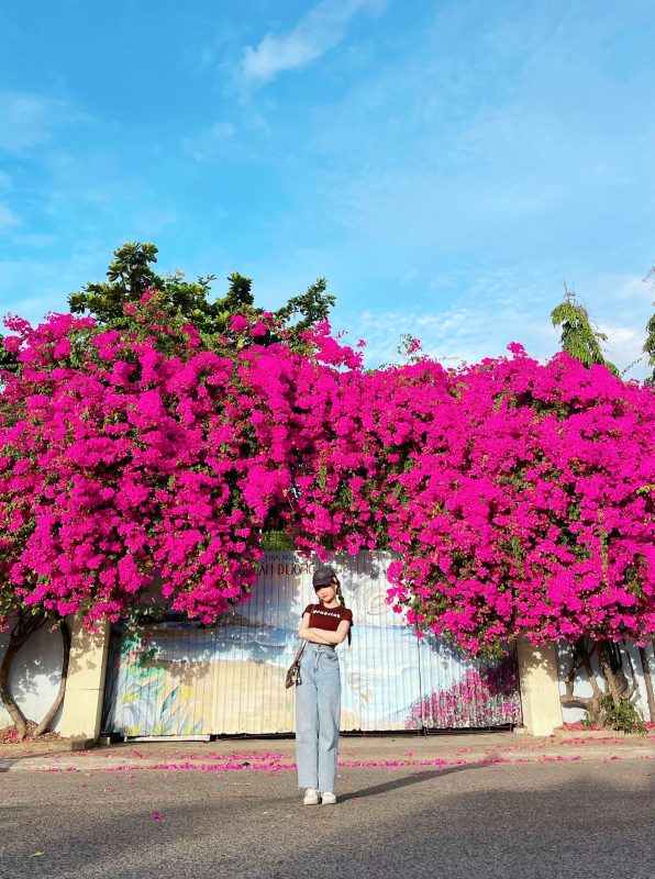 Cổng hoa giấy Mạc Thanh Đạm