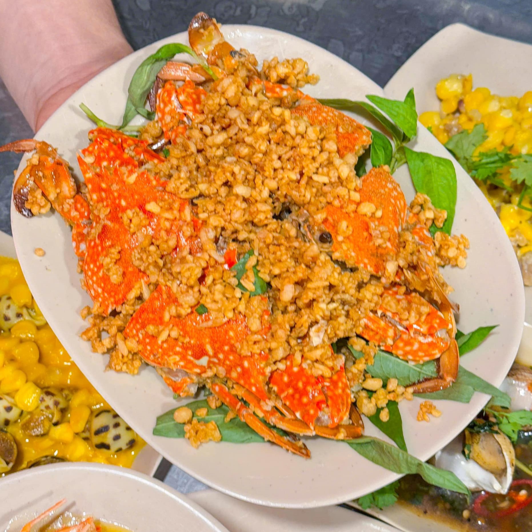 Ốc Bình - Quán Ốc Núp Hẻm Cực Ngon, Giá Bình Dân tại Vũng Tàu.